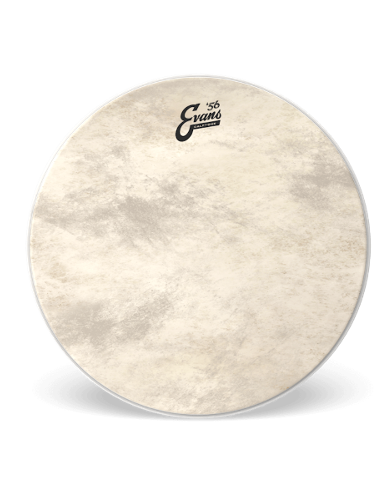 EVANS Calftone 16" Bassdrum Head TT16CT