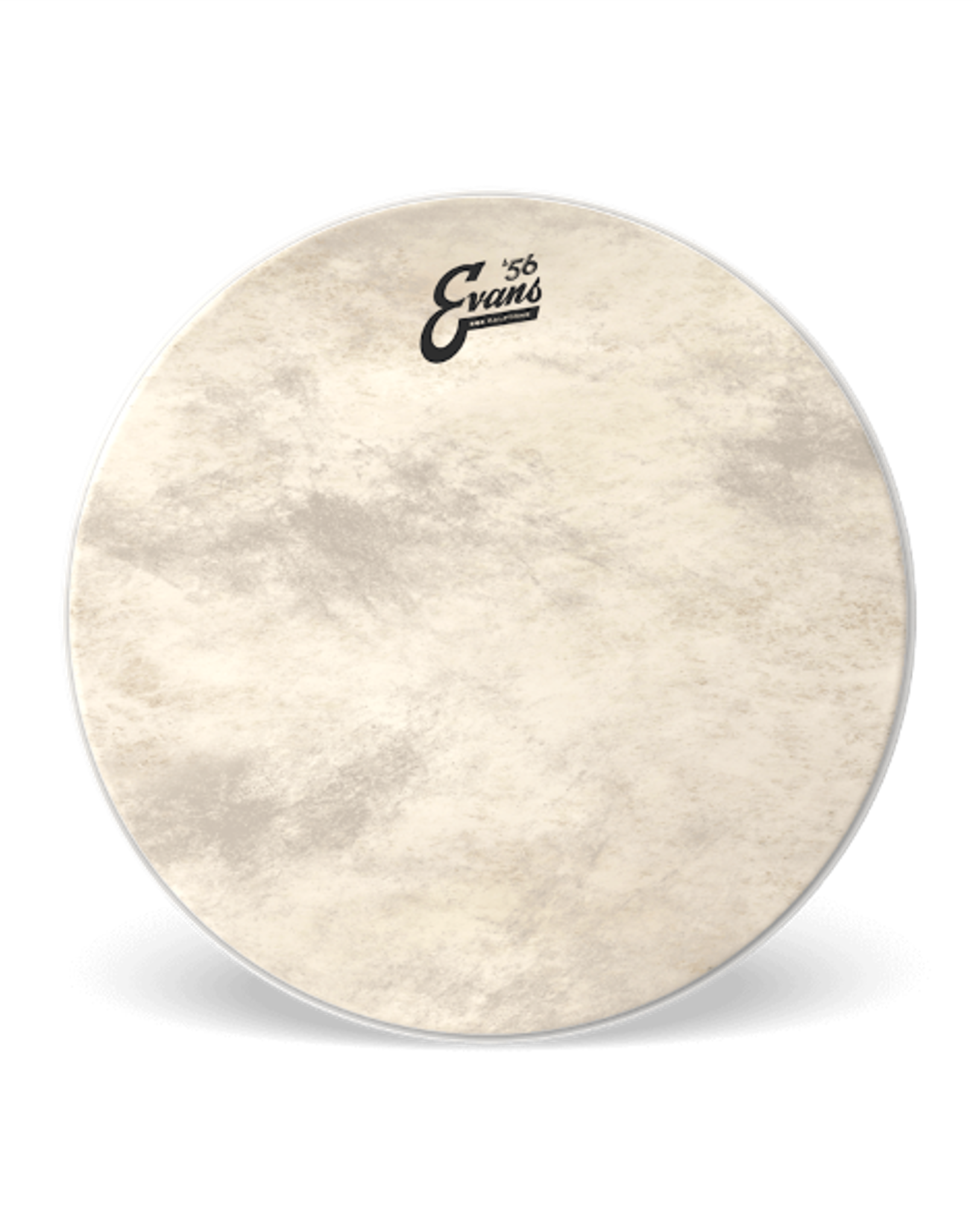 EVANS EQ4 Calftone 18" Bassdrum Head BD18GB4CT